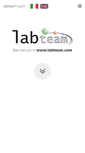 Mobile Screenshot of labteam.com